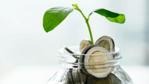 Kuppi jossa eurokolikoita josta kasvaa pieni kasvi